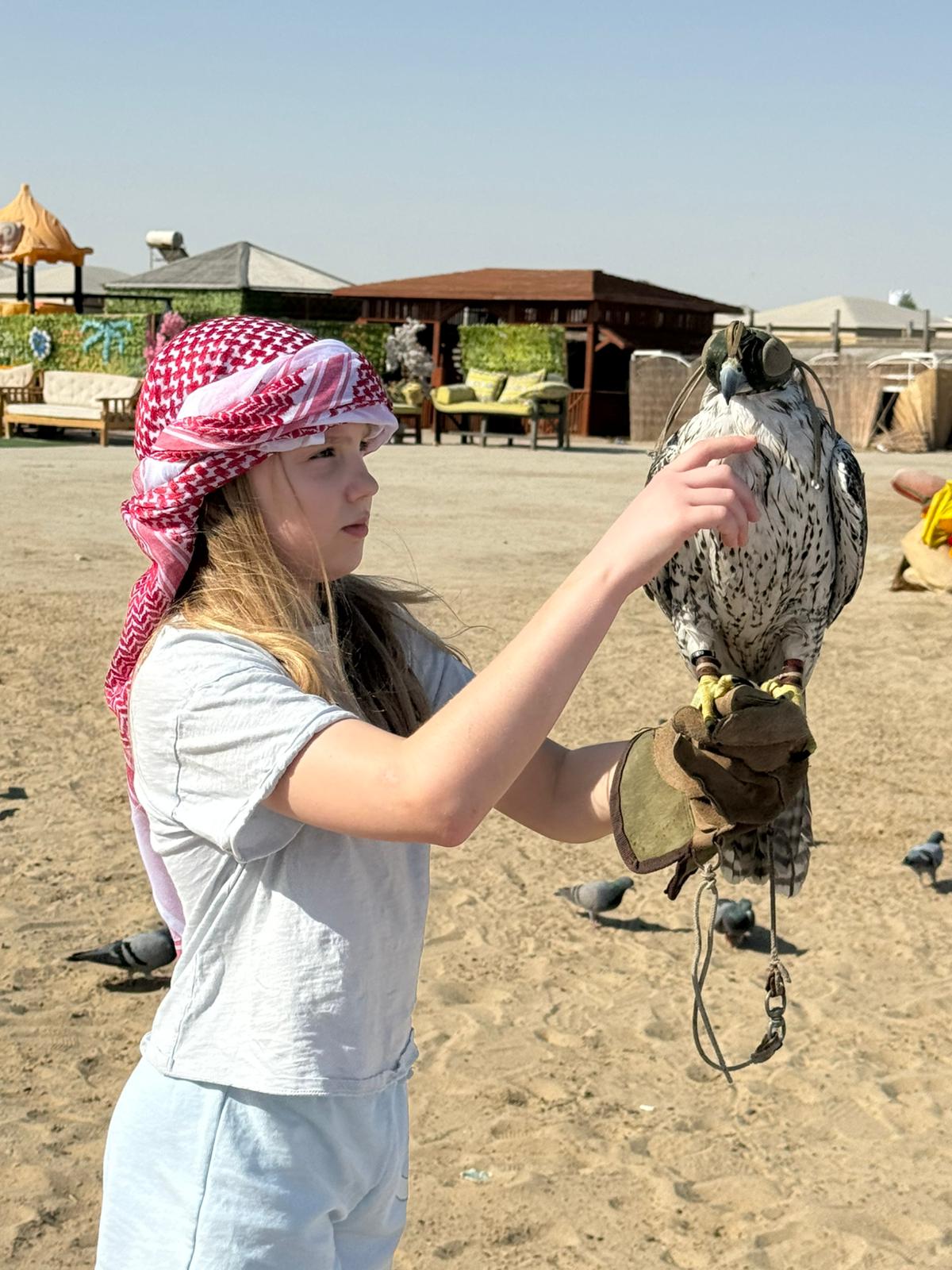 City Tour & Desert Safari: Camel Ride & Sandboarding Adventure